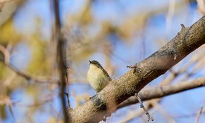 Sensacja w świecie naukowców. Spektakularne, wyjątkowo rzadkie widoki