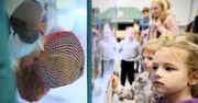 Lublin: Wystawa i Targi Zoologiczne ZOOPARK. Niezwykła przygoda w świecie zwierząt już w ten weekend