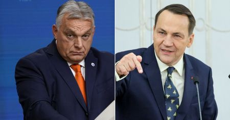 Orban reaguje na wpis Sikorskiego. "Psychoza wojenna"