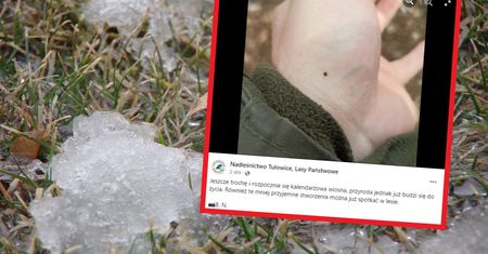 Kiedy pojawią się komary i kleszcze? Robi się coraz cieplej