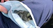 Nietypowe zastosowanie maseczki. Uratowano zwierzę w Wieliczce