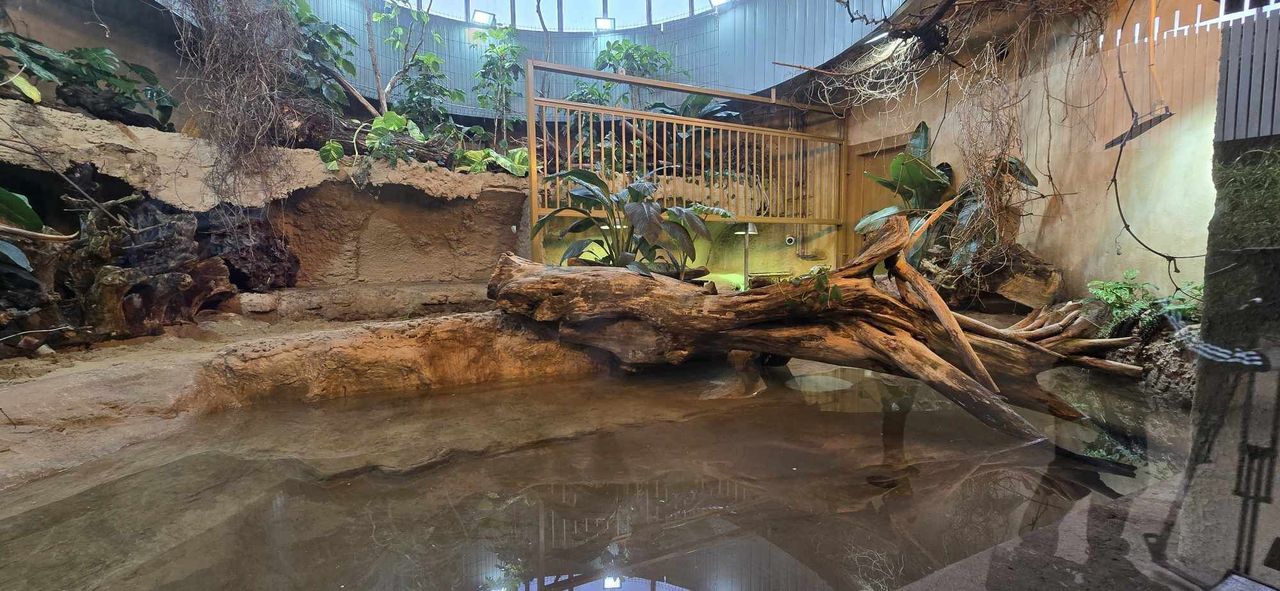 Nowe lokum i mural w ZOO Płock