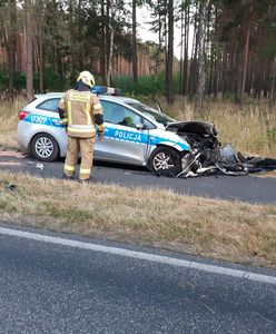 Wielkopolska: Tesla wbiła się czołowo w radiowóz koło Leszna
