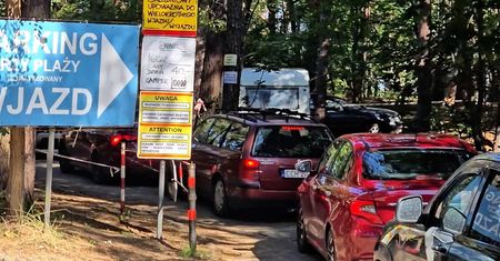 To prawdziwy wysyp. Setki ludzi przeczesują las wzdłuż linii brzegowej
