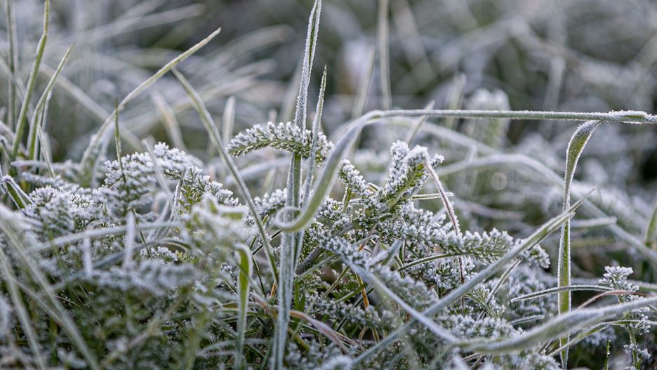 Aktualnie Polska jest pod wpływem niżu znad Holandii i chłodnego powietrza arktycznego