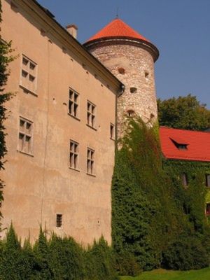 Obraz