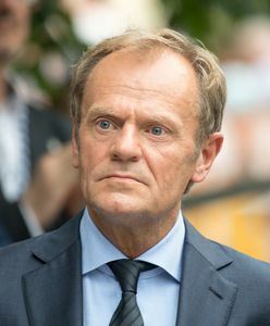 Trwa kryzys w PO. Czas na powrót Tuska? "To byłby duży impuls"