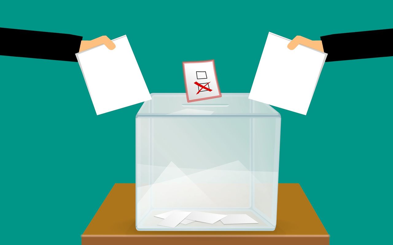 Prawybory USA: awaria aplikacji do głosowania (fot. Pixabay)