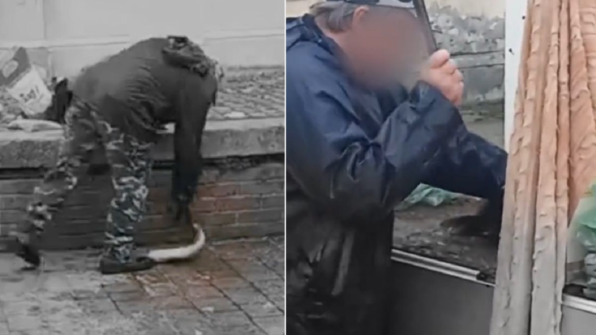 Tak wygląda sprzedaż żywych ryb na targowisku we Wrocławiu 