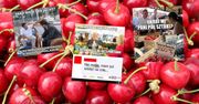 Ceny czereśni. Polacy pękają ze śmiechu