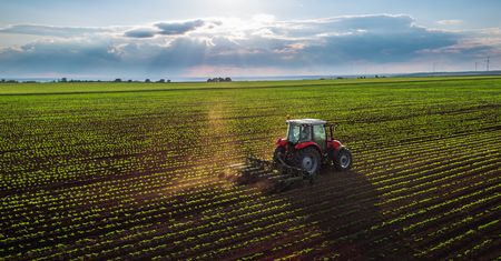Dopłaty bezpośrednie 2025: rozpoczął się nabór wniosków. O czym należy pamiętać?