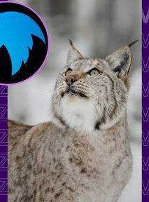 Nawet WWF śmieje się z Muska. W szczytnym celu