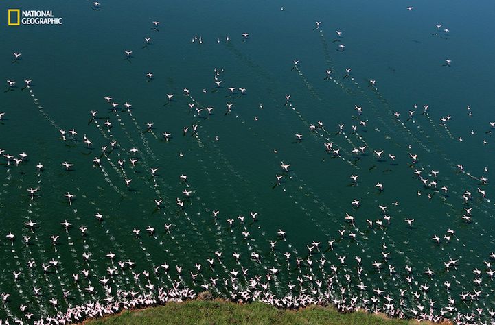 National Geographic Photo Contest 2015 - galeria pierwszych imponujących zdjęć zgłoszonych do konkursu 5