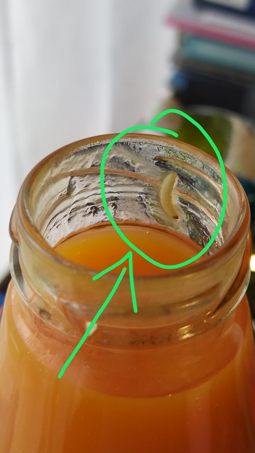 Robak w soku dla dzieci