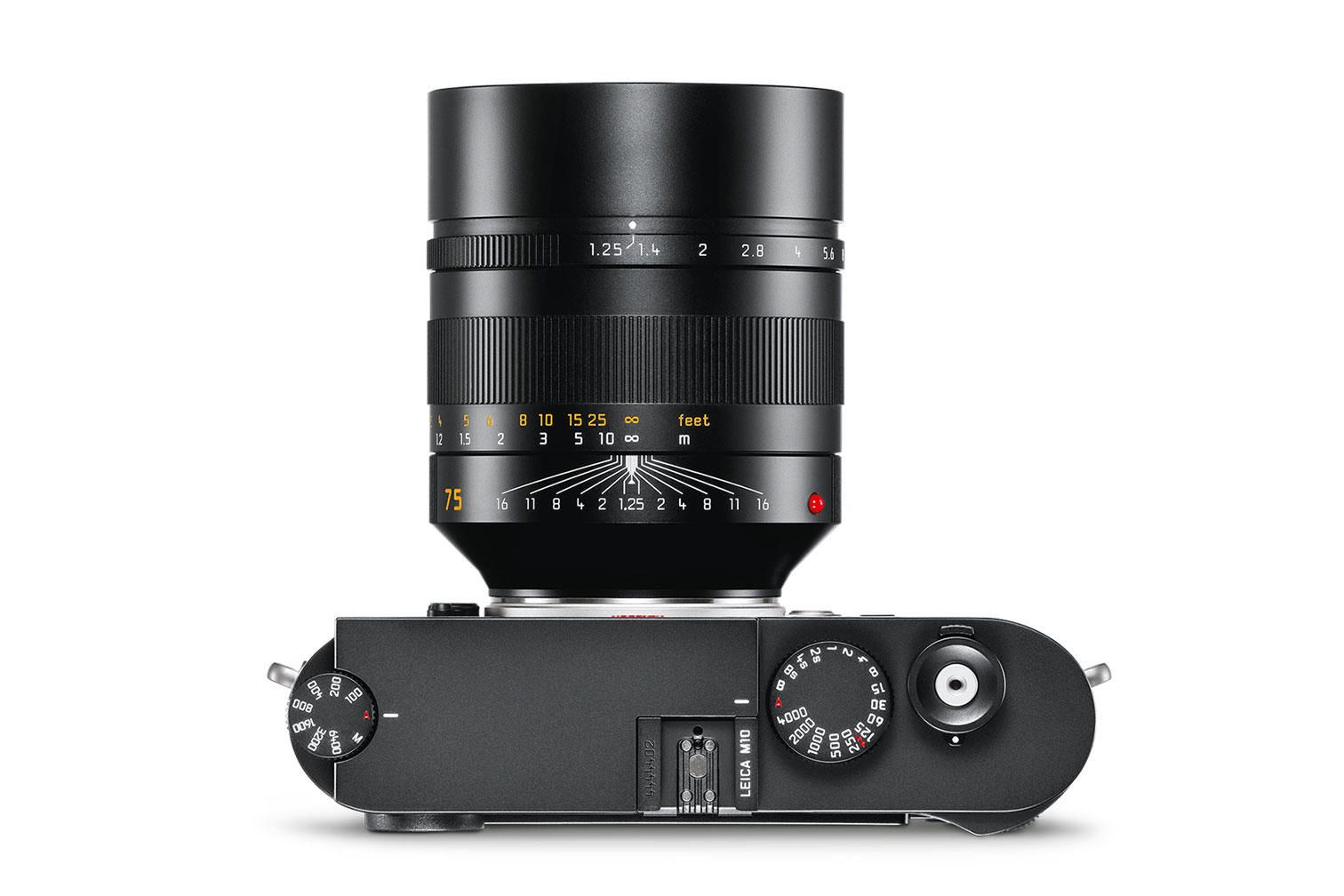 Leica Noctilux-M 75 mm f/1.25 ASPH - to gratka dla miłośników płytkiej głębi ostrości 6