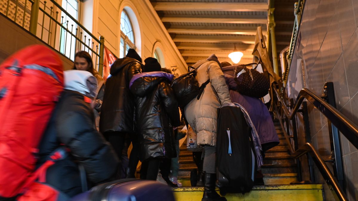 People arriving from Ukraine on their way to the train station in Przemysl.
According to research conducted by Lalafo, about half of Ukrainians who came to Poland because of the war are of working age. Over 96% are women aged 30-50, 16% are under this age, and 10% are elderly. As per the Lalafo survey, almost 90% have children, usually one or two. Half of forced migrants from Ukraine want to return home after the war, while about 12% express a desire to stay in Poland.
On Thursday, December 22, 2022, in Przemysl, Subcarpatian Voivodeship, Poland. (Photo by Artur Widak/NurPhoto via Getty Images)