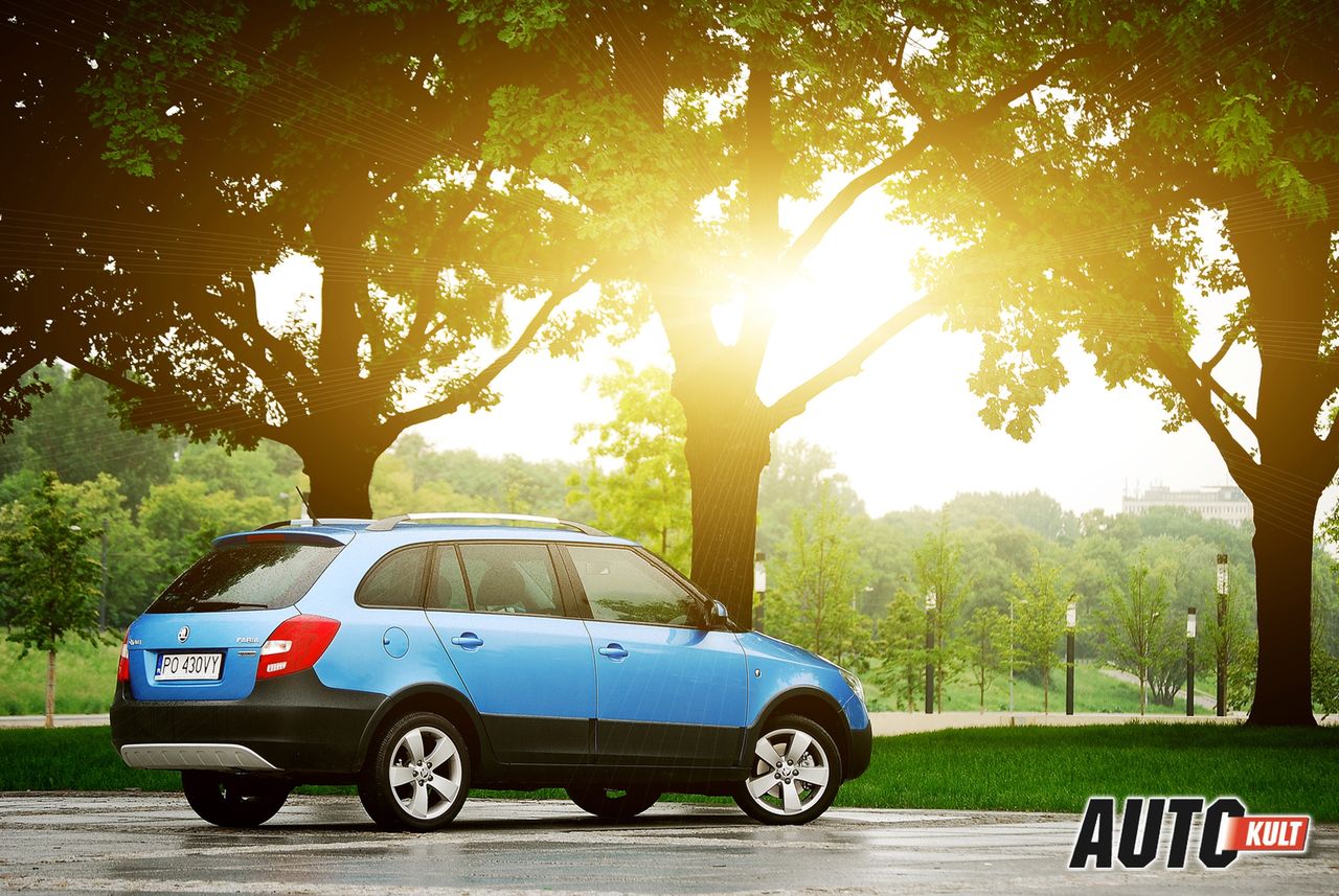 Najchętniej kupowane auta w Polsce