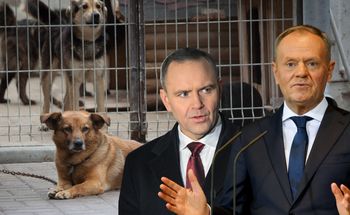 Nawrocki uderzył w psy na łańcuchach. Dosadny komentarz Tuska