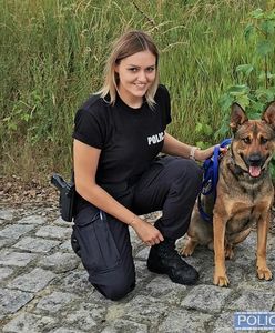 Wrocław. Orgin uratował 32-latka. Pies bohaterem