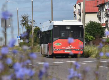 Bezpłatna komunikacja miejska jest kosztowna. Dlatego w Malborku są opinie, że tylko mieszkańcy powinni jeździć bez biletu