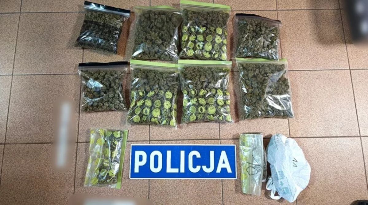 Plantacja marihuany na strychu. 44-latek został aresztowany