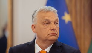 Orban gratuluje Nawrockiemu. "Czekamy na wspólną pracę"