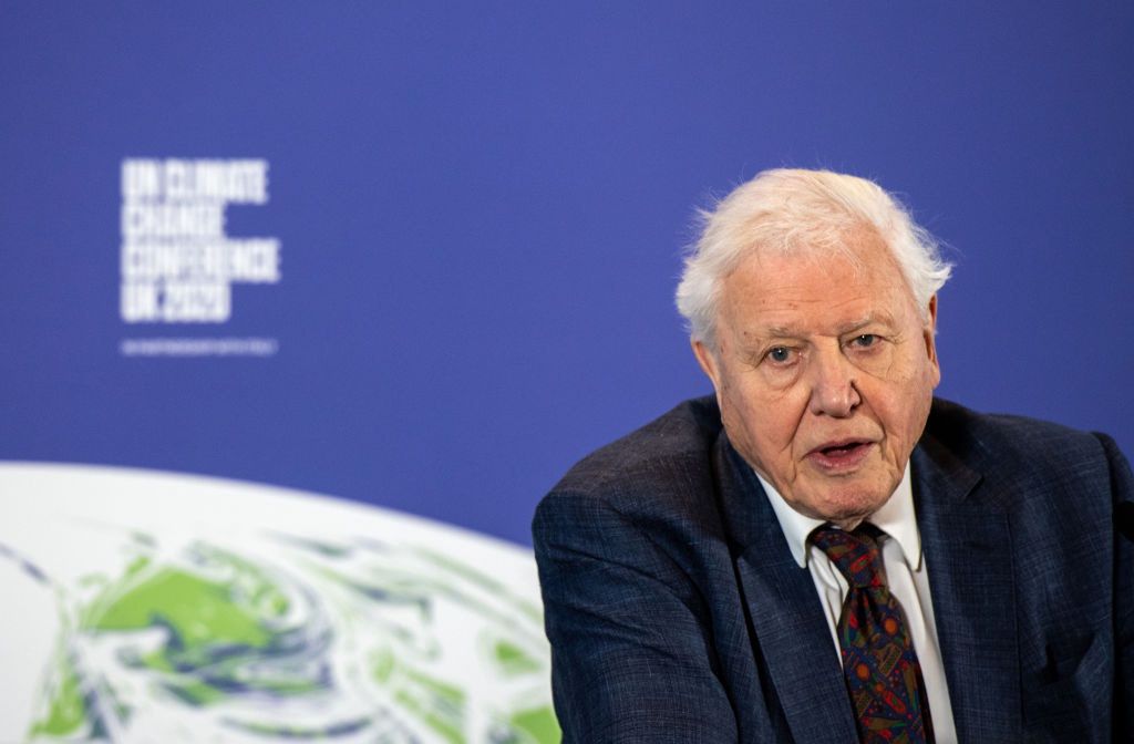 David Attenborough na Instagramie. Pobił rekord Guinnessa w osiąganiu miliona obserwujących