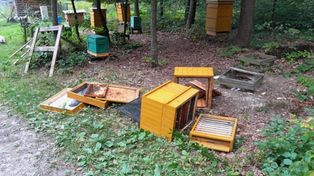 Zdemolowane ule w pasiece. Leśnicy ostrzegają