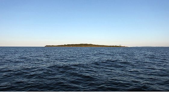 Chcą zamienić dziką wyspę w raj dla artystów. Uda się? [wideo] 1