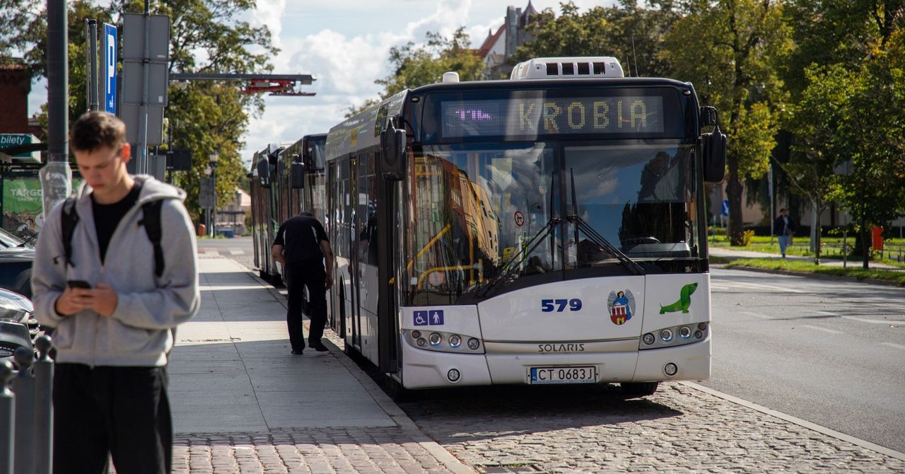 Toruń: Autobusy MZK w poślizgu. Używane na ratunek, by kursy były częstsze