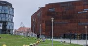 Gdańsk. Mieszkańcy utworzyli serce z kwiatów
