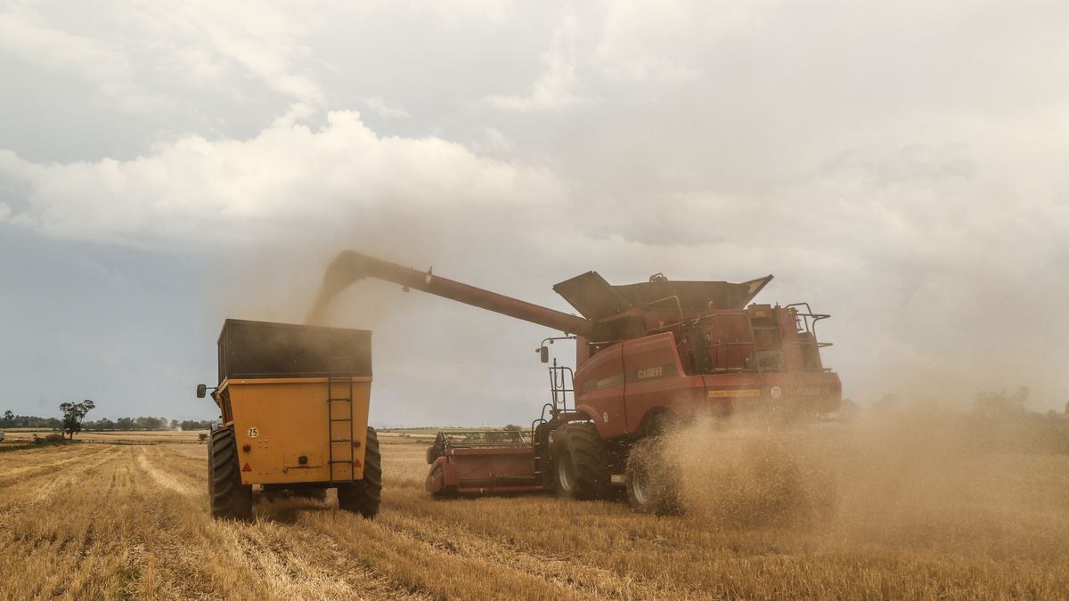 NAKURU, KENYA - 2023/09/21: A combine harvester unloads freshly harvested wheat grains into a waiting tractor trailer in Rongai, near Nakuru City. On the sidelines of the ongoing United Nations General Assembly in New York, Kenyan President William Ruto announced that Ukraine will set up a grain hub at the port of Mombasa to address food shortages in East Africa. The announcement was made after the Ruto met with Ukrainian President Zelensky in New York. Kenya is relying on grain producing countries like Ukraine to supplement locally harvested wheat. (Photo by James Wakibia/SOPA Images/LightRocket via Getty Images)