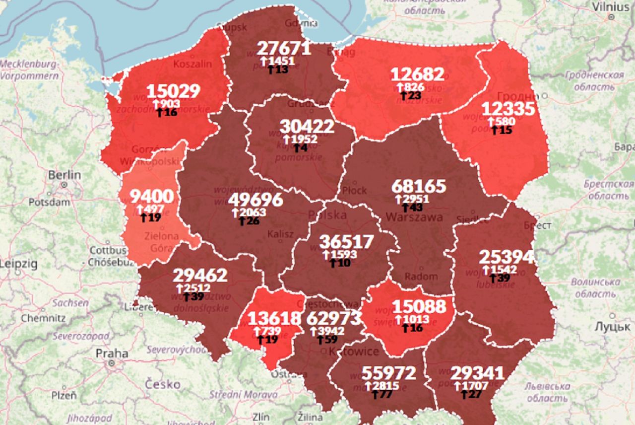 Koronawirus w Polsce. Rekord zgonów. Zmarło 445 osób [Aktualna mapa]