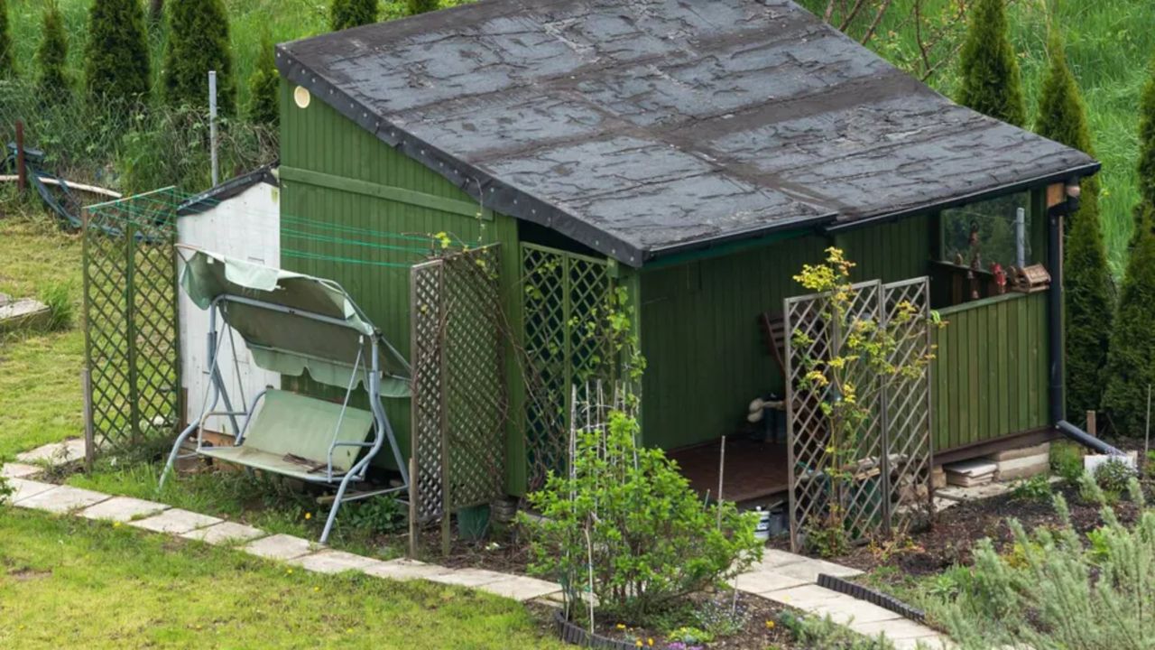 Masz abisynkę na działce? Upewnij się, czy nie grozi ci wysoka grzywna