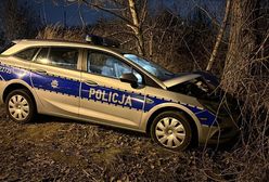 Policjanci jechali do lasu? Giertych zapowiada