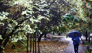 Antycyklony nad Europą. W Polsce będzie wyjątkowo sucho