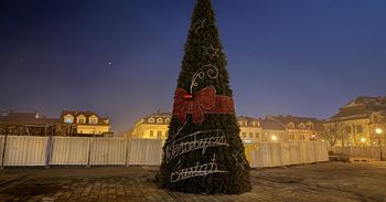 Olkusz: Choinka na rynku już gotowa. Niebawem ruszy montaż świątecznych iluminacji w całym mieście