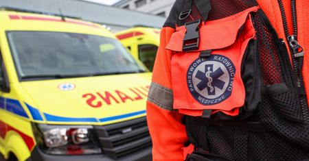 Tragedia w lesie. Psy rzuciły się na grzybiarza, mężczyzna nie żyje