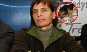 Hejt po wpisie Janiny Ochojskiej. Historia psa miała wzruszyć