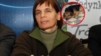 Hejt po wpisie Janiny Ochojskiej. Historia psa miała wzruszyć