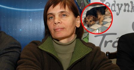 Wstawiła zdjęcie psa. Na Ochojską spadła fala krytyki