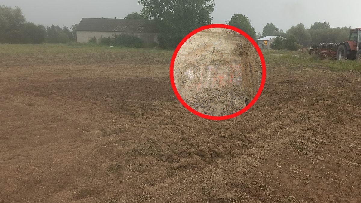 Odkrycie w Polsce. Znaleźli szczątki niemieckich żołnierzy.