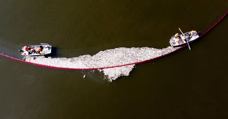 Co się stało z Odrą? Zaskakująca sprawa z raportami Polski i Niemiec
