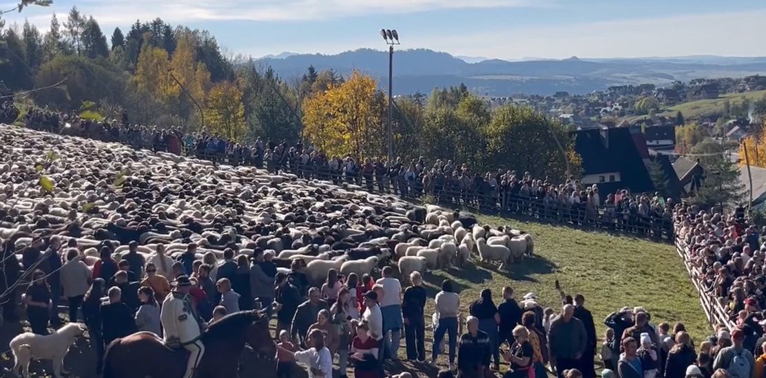 Tłumy zjechały do małej wsi. Niesamowite nagranie