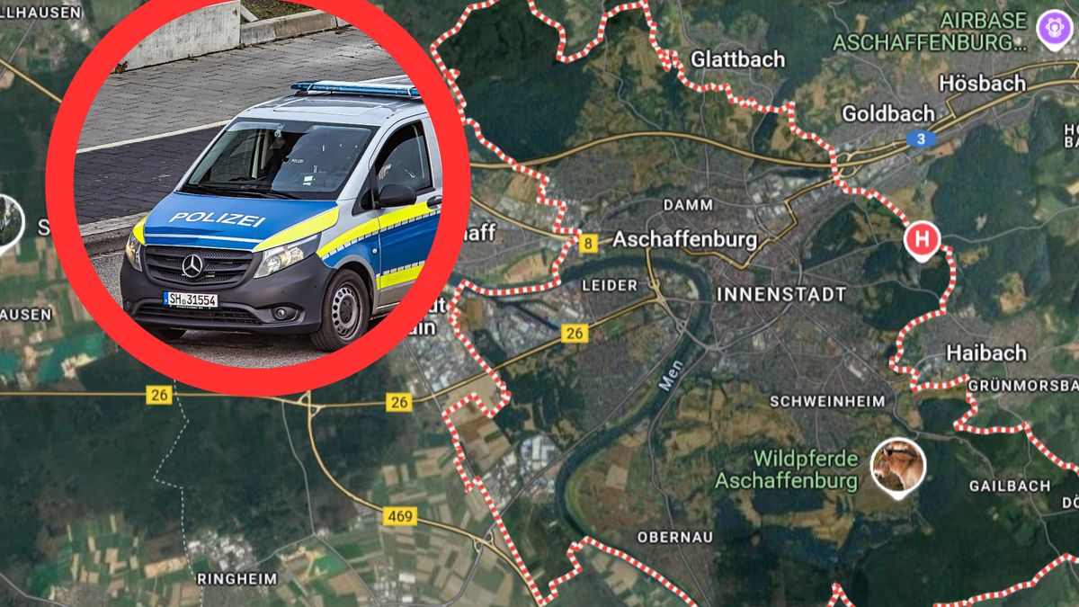 Do ataku doszło w parku