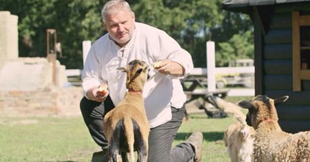 Wyjątkowe ranczo na Pomorzu. "Na łóżkach kozy i owce"