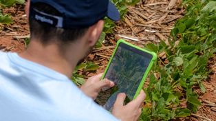 Cyfryzacja rolnictwa z Cropwise Operations
