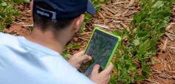 Cyfryzacja rolnictwa z Cropwise Operations