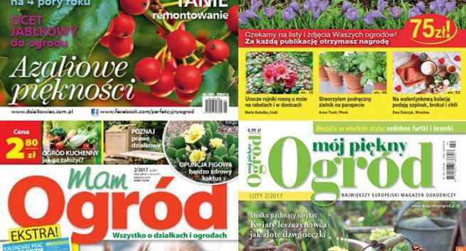 „Działkowiec” liderem sprzedaży w I-III kwartale, wszystkie tytuły na minusie