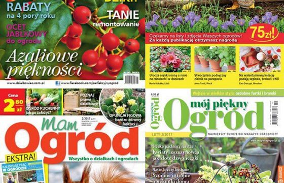 „Działkowiec” liderem sprzedaży w I-III kwartale, wszystkie tytuły na minusie